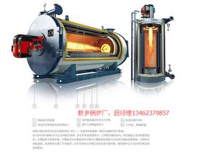 广东有机热载体锅炉哪家好？新乡锅炉用实力告诉你答案